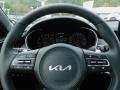  2022 Kia Stinger GT2 Steering Wheel #20