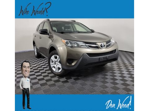 Pyrite Mica Toyota RAV4 LE.  Click to enlarge.