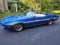  1972 Pontiac LeMans Corvette Blue #5