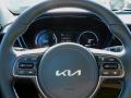  2022 Kia Niro EV Steering Wheel #19