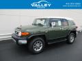 2012 Toyota FJ Cruiser 4WD