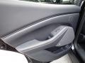 Door Panel of 2021 Ford Mustang Mach-E Premium eAWD #20