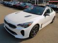 Front 3/4 View of 2022 Kia Stinger GT-Line #7