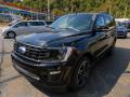  2021 Ford Expedition Agate Black #7