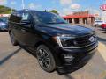 Front 3/4 View of 2021 Ford Expedition Limited Stealth Package 4x4 #9