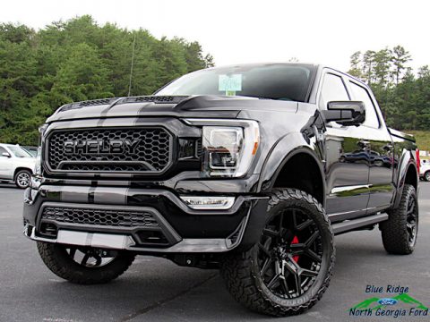Agate Black Ford F150 Shelby Off-Road SuperCrew 4x4.  Click to enlarge.