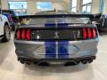 2021 Mustang Shelby GT500 #4