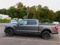  2021 Ford F150 Carbonized Gray #6