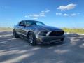 2014 Mustang GT Coupe #16