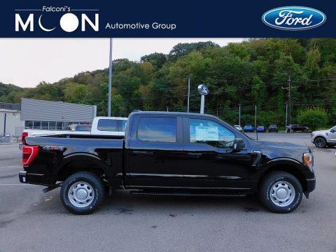 Agate Black Ford F150 XL SuperCrew 4x4.  Click to enlarge.