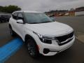 2022 Seltos S AWD #9