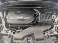  2021 X1 2.0 Liter TwinPower Turbocharged DOHC 16-Valve Inline 4 Cylinder Engine #9