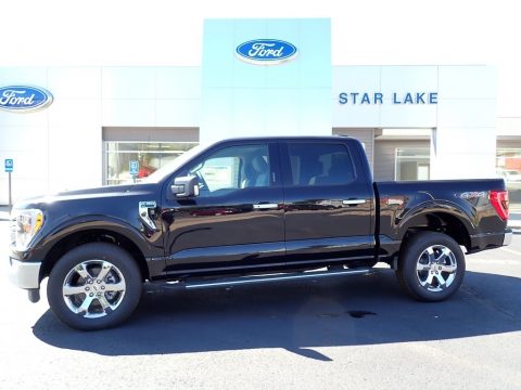 Agate Black Ford F150 XLT SuperCrew 4x4.  Click to enlarge.