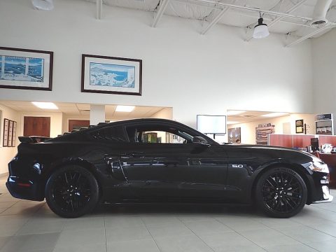 Shadow Black Ford Mustang GT Premium Fastback.  Click to enlarge.