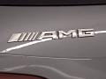 2019 GLE 43 AMG 4Matic #10