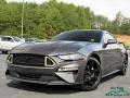 2019 Ford Mustang EcoBoost Premium Fastback