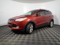 2014 Escape Titanium 2.0L EcoBoost 4WD #9