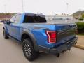 2019 F150 SVT Raptor SuperCrew 4x4 #5 2019 F150 SVT Raptor SuperCrew 4x4 #5
