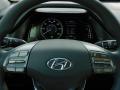  2022 Hyundai Ioniq Hybrid Blue Steering Wheel #19