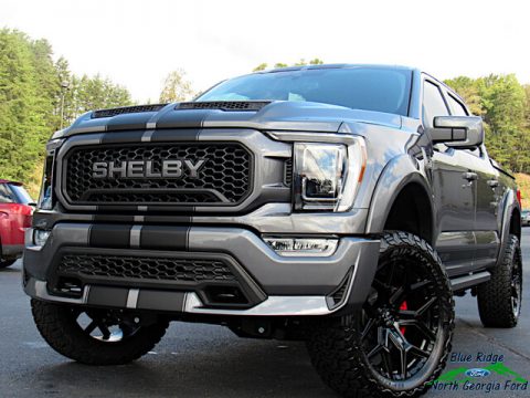 Carbonized Gray Ford F150 Shelby Off-Road SuperCrew 4x4.  Click to enlarge.
