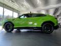  2021 Lamborghini Urus Verde Mantis Pearl #16