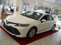 2019 Camry LE #2