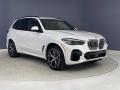 Front 3/4 View of 2022 BMW X5 sDrive40i #27