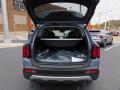 2022 Sorento X-Line EX AWD #4