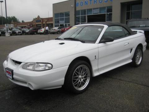 Ultra White Ford Mustang SVT Cobra Convertible.  Click to enlarge.