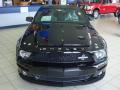 2009 Mustang Shelby GT500KR Coupe #2 2009 Mustang Shelby GT500KR Coupe #2
