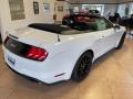 2021 Mustang GT Premium Convertible #3