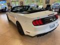 2021 Mustang GT Premium Convertible #4