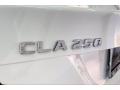 2019 CLA 250 Coupe #31