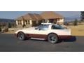 1981 Corvette Coupe #8
