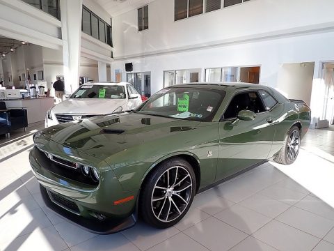 F8 Green Dodge Challenger R/T Scat Pack.  Click to enlarge.