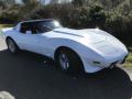 1979 Corvette Coupe #22