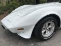 1979 Corvette Coupe #25