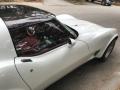 1979 Corvette Coupe #35