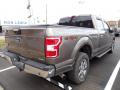  2019 Ford F150 Stone Gray #2