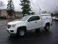2019 Colorado WT Extended Cab 4x4 #7