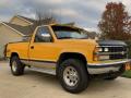  1989 Chevrolet C/K Adobe Gold Metallic #14