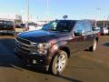 2020 F150 Platinum SuperCrew 4x4 #7