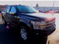 2020 F150 Platinum SuperCrew 4x4 #9