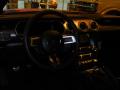 2021 Mustang GT Premium Fastback #13
