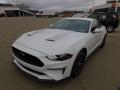 2021 Mustang EcoBoost Fastback #7