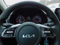 2022 Forte LXS #19