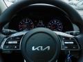 2022 Forte LXS #20