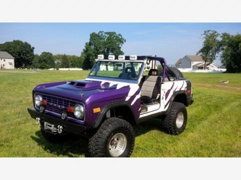 Custom Purple Ford Bronco 4x4.  Click to enlarge.