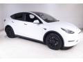 2021 Tesla Model Y Long Range AWD Pearl White Multi-Coat