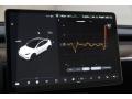 Controls of 2021 Tesla Model Y Long Range AWD #10